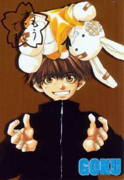 Otaku Gallery  / Anime e Manga / Saiyuki / Illustrazioni / 170.jpg